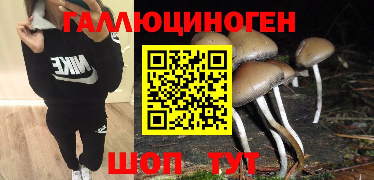 Галлюциногенные грибы мицелий Нарьян-Мар